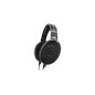 Sennheiser HD 650 Kablet Hovedtelefoner Sølv